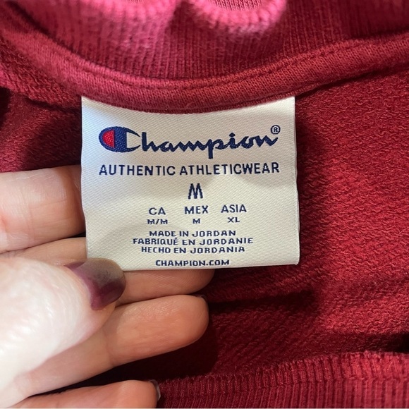 Champion Florida State Seminole Crewneck Pullover Sweatshirt Burgundy Size M - Picture 6 of 7